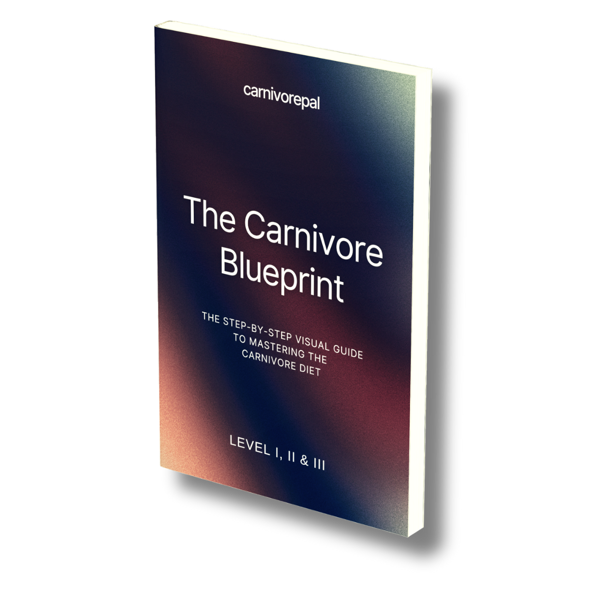 Carnivore Diet Plan 2025